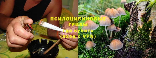 кокс Дмитриев